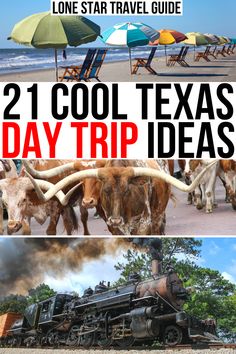 two pictures with longhorn steers and an old train on the beach in front of them