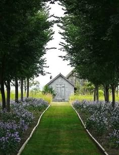 an old house is surrounded by trees and purple flowers in the foreground with a path leading to it