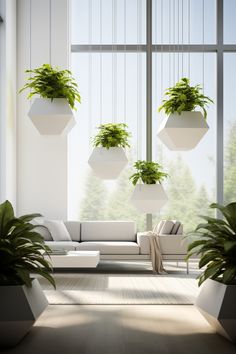 a living room with plants hanging from the ceiling and couches in front of large windows