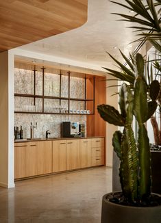 a kitchen with wooden cabinets and plants in it