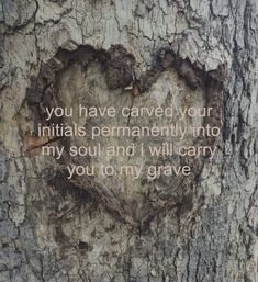 a heart carved into the bark of a tree that says, you have caned your initials permanently into my soul and i will carry you to my grave