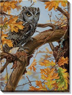 an owl sitting on top of a tree branch with leaves around it's neck