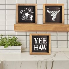 three framed signs on a wall above a counter with potted plants in the corner