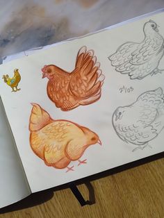 an open book with drawings of chickens on it