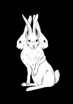 two rabbits sitting next to each other on a black background