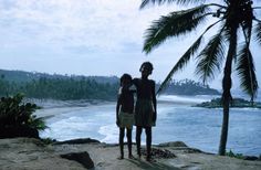 two young boys stand on the edge of a cliff overlooking the ocean and palm trees