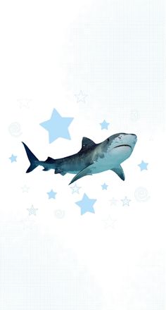 shark marine life wallpapers Playing Games, The Sky, The Story, Solar, Stars, Building