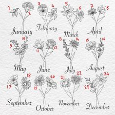 months of the year with flowers drawn on paper