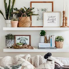 a living room filled with lots of furniture and plants on top of white shelving