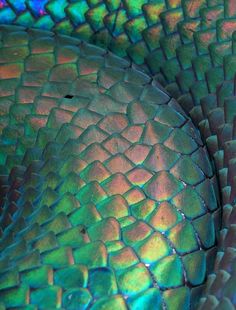 an image of a snake skin pattern in blue and green