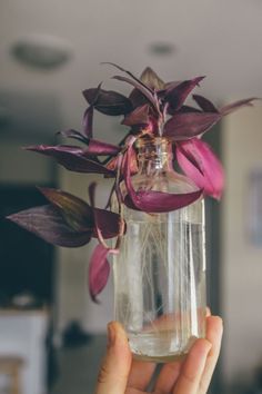 a person holding up a glass vase with flowers in it and water on the bottom