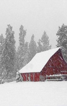 a red barn in the middle of a snowy field with pine trees and snow falling on it