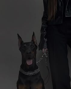 a black and brown dog sitting on top of a person's leg wearing a chain