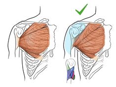 an image of the muscles showing how to fix their upper back and lower arm muscles