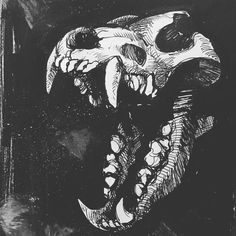 a black and white drawing of a skull with large teeth on it's face