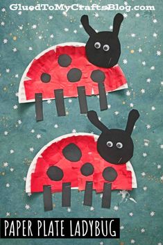 paper plate ladybug craft for kids to make