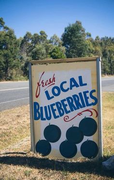 a sign advertising local blueberries on the side of the road