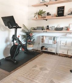 an exercise bike in a home gym with plants on the floor and shelves above it