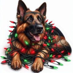 a dog laying on the ground with christmas lights around it's neck and head