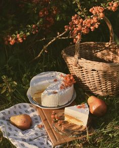 there is a cake and some fruit on the grass