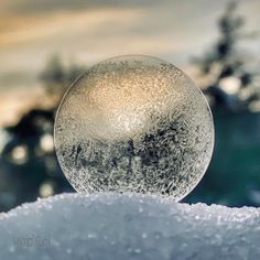 a snow ball sitting on top of a pile of snow next to some pine trees