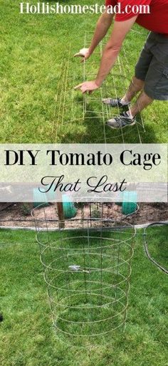 the diy tomato cage that is in the yard with two people working on it