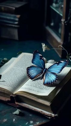 a blue butterfly sitting on top of an open book