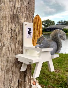 a squirrel is sitting on a chair next to a corn cob hanging from a tree