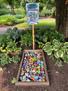 a garden filled with lots of colorful rocks