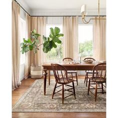 a dining room table with four chairs and a potted plant in the corner next to it