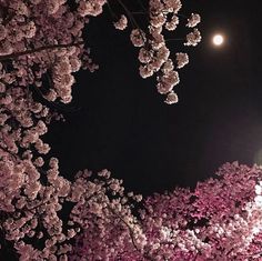 the full moon shines brightly in the dark sky above cherry blossom trees and street lights