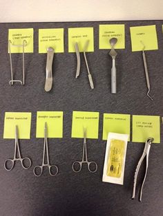 Dental Extraction Tray Setup, Meharry Dental School, Dental Extraction Instruments, Periodontist Assistant, Dental Hygiene School Study Guides, Dental Tray Setup, Extraction Instruments