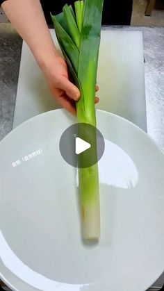 a person cutting up some green onions on a white plate