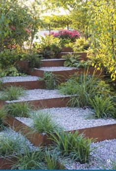 an outdoor garden with stone steps and plants