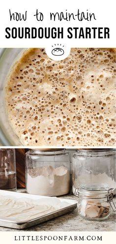 how to maintain sourdough starter in mason jars with text overlay that reads how to maintain sourdough starter