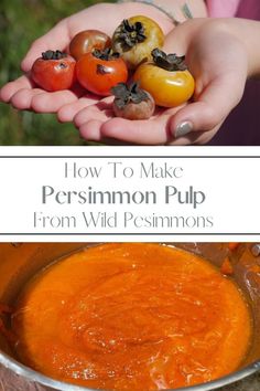 someone holding some tomatoes in their hands with the words how to make persimmon pulp from wild pesmons