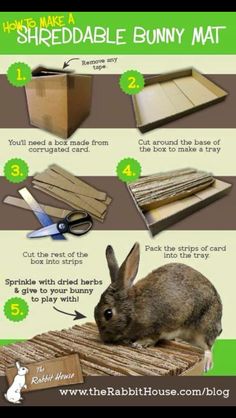 how to make a cardboard bunny mat with instructions on how to use it for rabbits