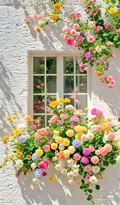 a window box filled with lots of colorful flowers