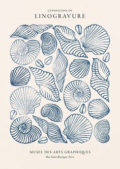 the front cover of an illustrated book with blue sea shells and spirals on it