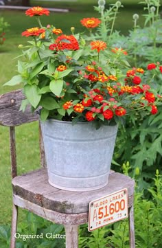 a potted plant sitting on top of a wooden chair next to flowers in a garden