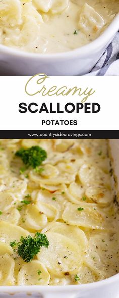 this creamy scalloped potato casserole is loaded with cheese and parsley