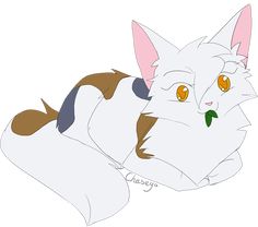 a white cat with orange eyes laying down