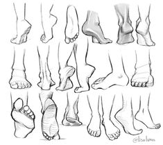 an image of feet and ankles with different angles to show the various positions for each foot