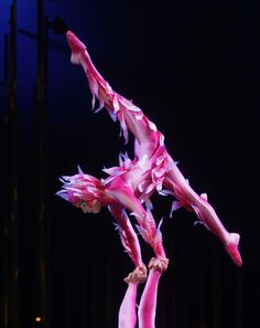 a person is performing in the air with their arms and legs stretched out while holding onto something pink