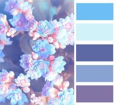 blue and pink color palette with flowers in the middle, on top of each other