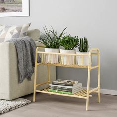 a living room with a couch, coffee table and potted plants on the shelf