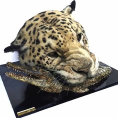 a stuffed leopard head on top of a fake alligator's mouth with it's teeth out