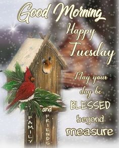 a birdhouse with a cardinal sitting on it's roof and the words good morning, happy tuesday may your day be blessed