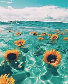 the sunflowers are floating in the clear blue water