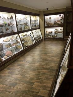 a room filled with lots of glass cases full of different types of items on display